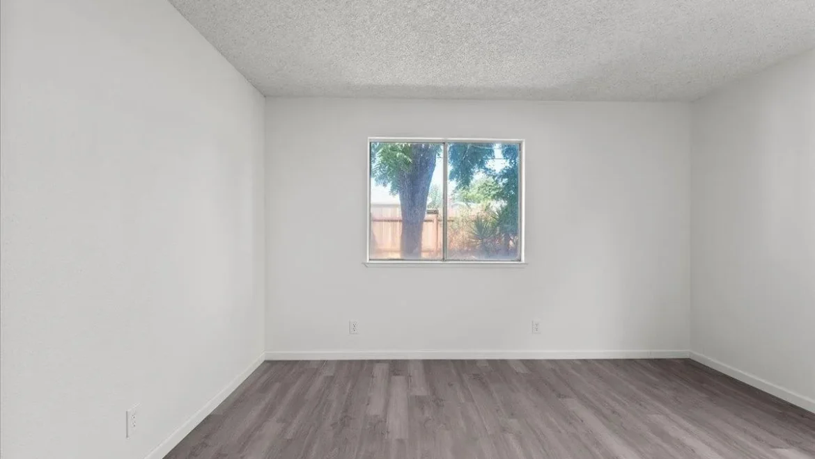 video image